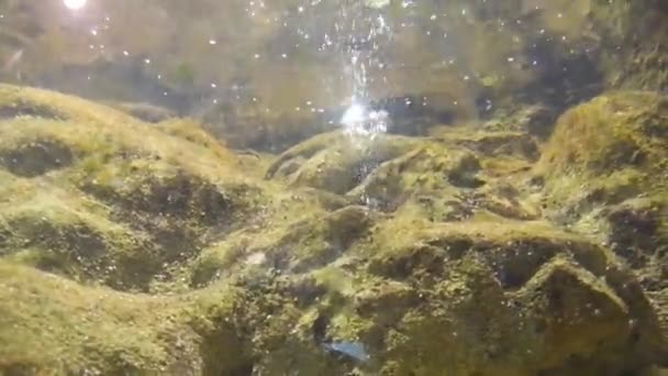 Burbujas Agua Procedentes Una Roca Dentro Acuario — Vídeo de stock
