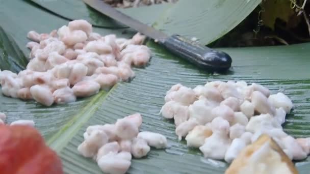 Kakaofrön Och Knivar Ett Stort Bananblad — Stockvideo