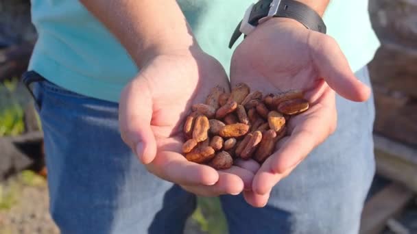 Killen Som Håller Kakao Bönor Sina Händer — Stockvideo