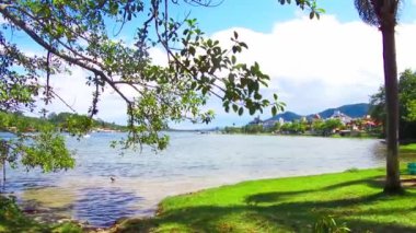 View of a beautiful lake with trees - Static