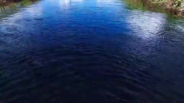 コタキナバルの小さな青い川を飛ぶ — ストック動画
