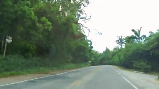 Conducir Por Camino Rodeado Exuberantes Árboles Verdes — Vídeos de Stock
