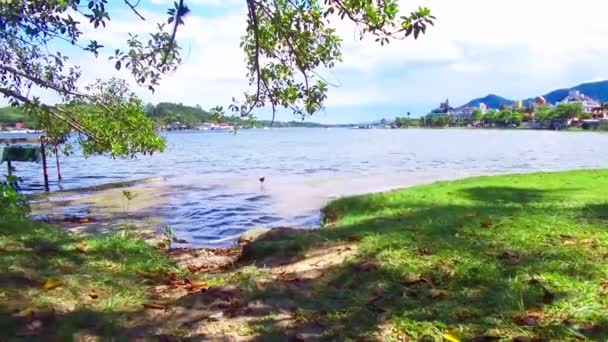 View Beautiful Lake Trees Shade Pan Right Left — Stockvideo