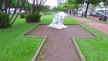 Parkta beyaz bir pantere doğru yürüyorum.