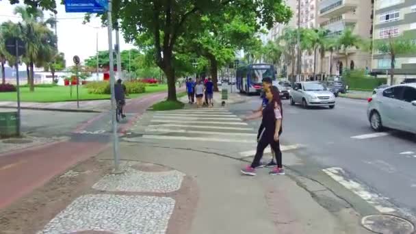 Trafik Ena Sidan Och Cyklar Den Andra Sidan Trottoar — Stockvideo