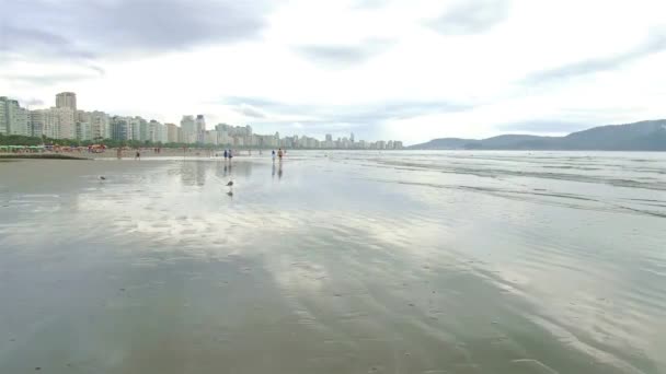 曇りの日に大きな砂浜のシルエット — ストック動画
