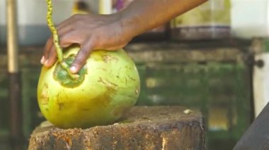 Hindistan cevizi kesip içine başıboş bir hayvan koyan adamın yakın görüntüsü..