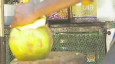 Hindistan cevizi kesip içine başıboş bir hayvan koyan bir adamın yan görüntüsü.