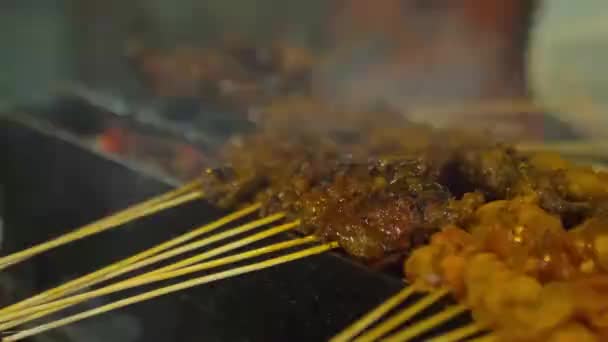 Closeup View Delicious Bbq Satay Night Market Kuala Lumpur — Stockvideo