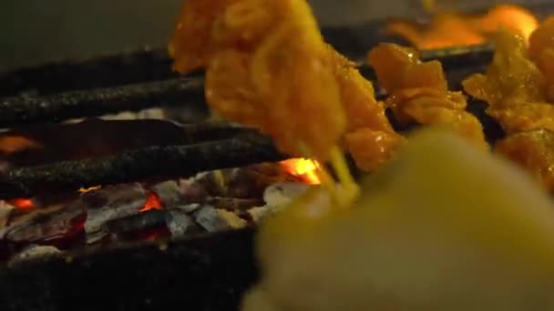 Closeup Raw Satay Sticks Being Placed Hot Coal Bbq Grill — Stock video