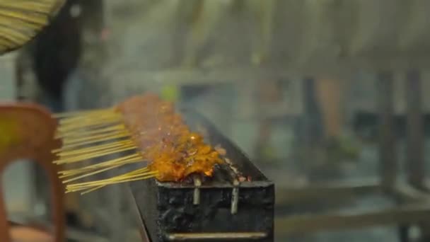 Side View Making Satay Sticks Bbq Grill Night Market Malaysia — Wideo stockowe