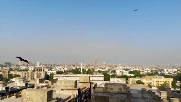 Top Aerial View Karachi City Colorful Buildings Many Trees — Video