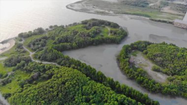 Sahile yakın ağaçların ve şehir manzaralı kum tarlasının üst hava görüntüsü.