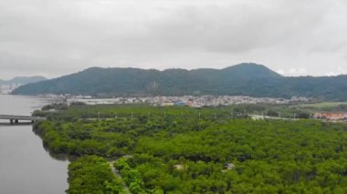 Ağaçlarla dolu, Santos şehri ve dağları manzaralı bir köprü manzarası. İleriye doğru..