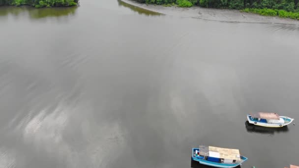 Flygfoto Fiskefartyg Havet Nära Green Island Full Träd — Stockvideo