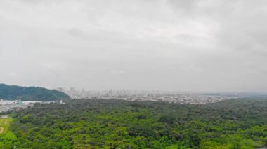Santos şehri ve dağları gören ağaçlarla dolu bir ormanın en yüksek manzarası yükseliyor..