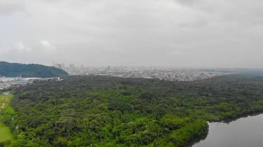 Top Aerial View Of Green Island Full Of Trees And Beautiful Sky And Santos City 