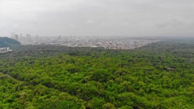 Top Aerial View Of Green Island Full Of Trees And Beautiful Sky And Santos City 