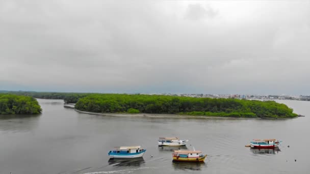 多彩的渔船在长满树木的岛屿附近的空中景观 — 图库视频影像