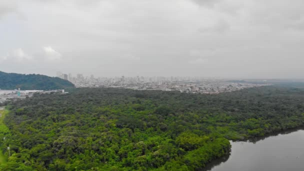 Top Aerial View Green Island Full Trees Beautiful Sky Santos — Stockvideo