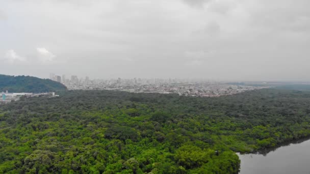Top Aerial View Green Island Full Trees Beautiful Sky Santos — Stockvideo