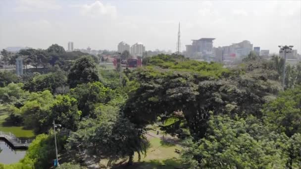 Вид Сверху Сад Полный Деревьев Видом Город Шоссе Малайзии — стоковое видео