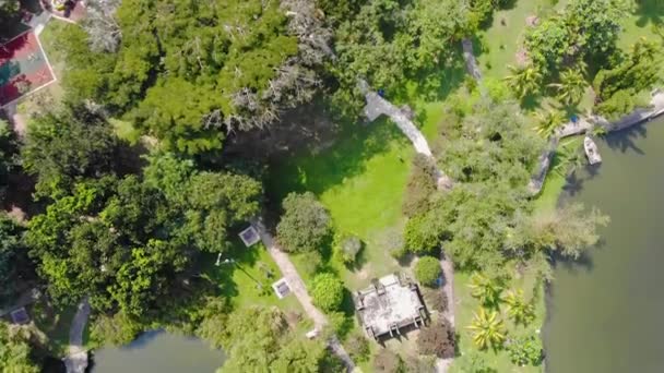 Vista Superior Parque Verde Com Muitas Árvores Borda Lago — Vídeo de Stock