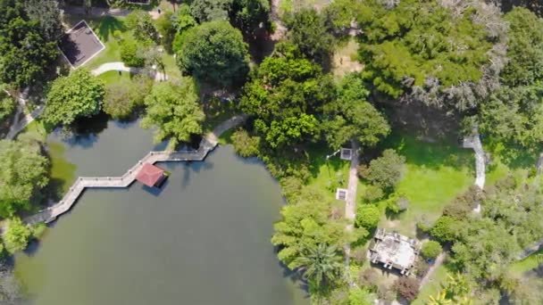 Top View Green Park Many Trees Edge Lake Dolly Right — Stockvideo
