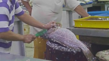  Heyecanlı bir adam, büyük bir fırçayla balığı temizliyor.