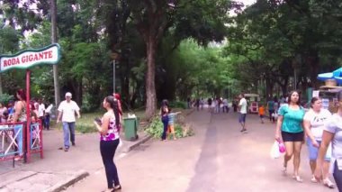 Tree and People in the Municipal Park