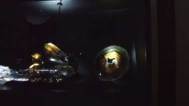 Cam Dolapta Güzel Bir Kaya - İleri