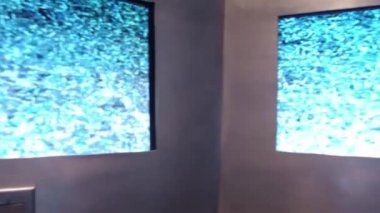 Müzedeki Video
