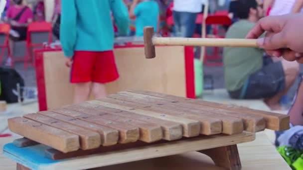 Attrezzature Musicali Legno Tenuto Mano — Video Stock