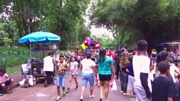 Vendeur Ballon Avec Ballon Mignon Dans Parc Municipal — Video