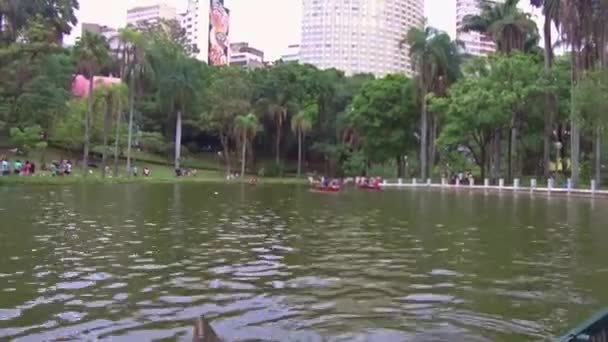 Remo Barco Com Vista Para Cidade — Vídeo de Stock