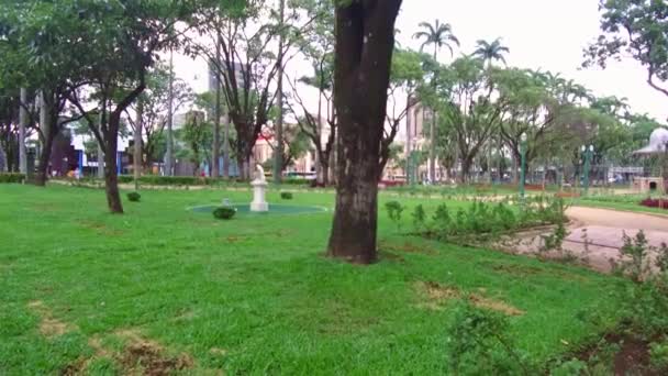 Park View Praca Liberdade — Stock video