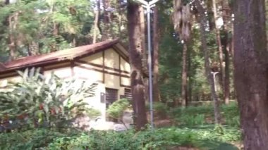 Çok Ağaçlı Eski Evler 