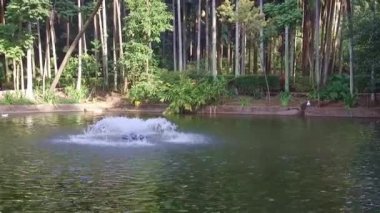  Fountain On A Small Lake - Static Corverted.