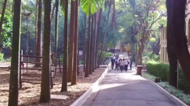 Agua Branca Parkı 'nda Uzun Ağaçların Altında Yürüyen İnsanlar