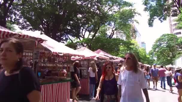 Αξεσουάρ Για Ψώνια Στο Sunday Market Hand Hold — Αρχείο Βίντεο