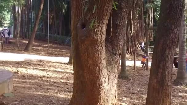 Children Playing Swing Together Pan Left Right — Stock Video