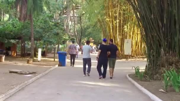 Persone Che Camminano Sotto Alberi Bambù — Video Stock