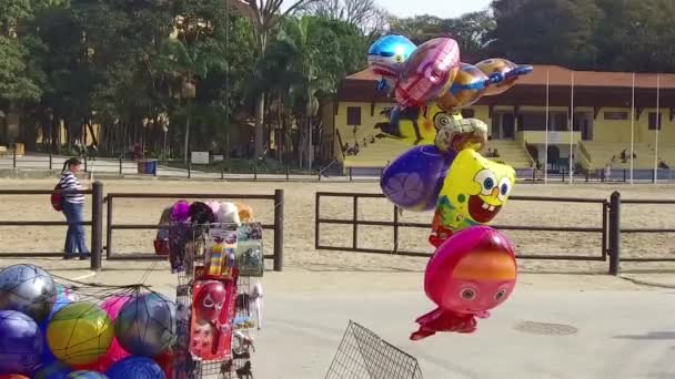 Μερικοί Χαριτωμένοι Χαρακτήρες Μπαλόνια Αργή Κίνηση — Αρχείο Βίντεο