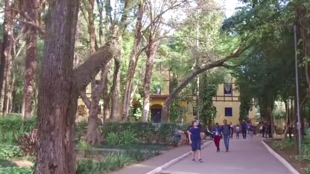 Árvores Altas Parques Pessoas Andando — Vídeo de Stock