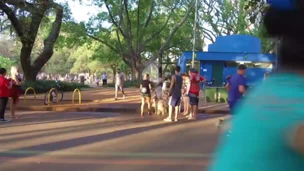 Família Com Seus Cães Frente Pulverizador Água Mão — Vídeo de Stock