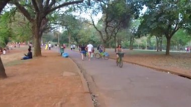 İnsanlar Ibirapuera Parkı 'nda bisiklet sürüyor.