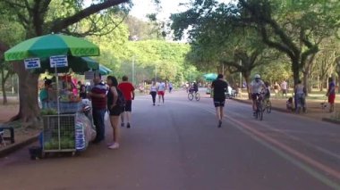 Bir Müşteri Hindistancevizi İçeceği Alıyor - Yavaş Hareket