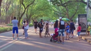 Beyaz Köpeğiyle Yürüyen Kadın - Yavaş Hareket