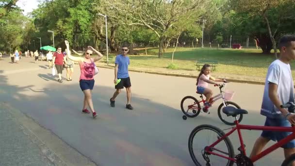 Mensen Lopen Samen Met Behulp Van Een Zonnebril Hand Gehouden — Stockvideo