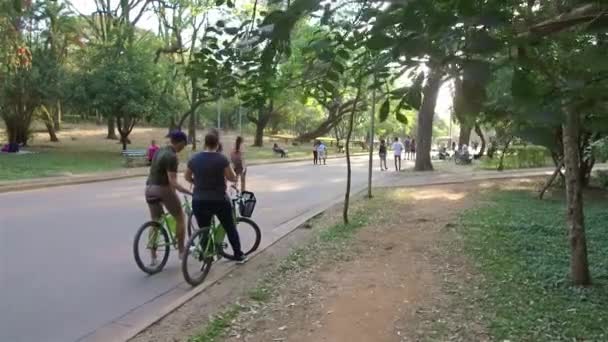 People Talking Together Bikes Hand Held — Stock Video